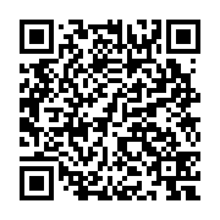 QR code for IDC 339