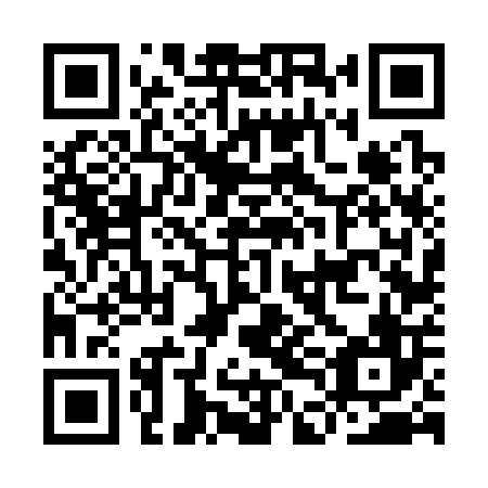 QR code for IDF 306