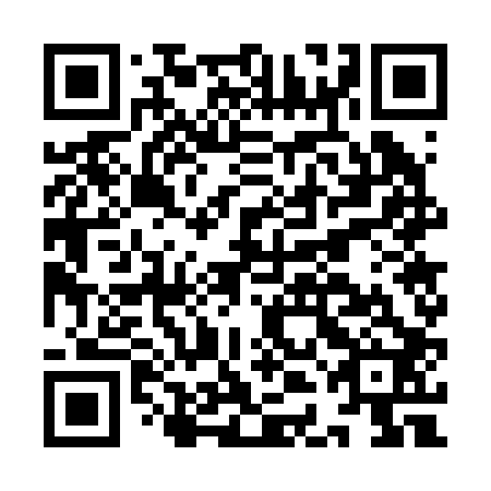 QR code for IDG 202