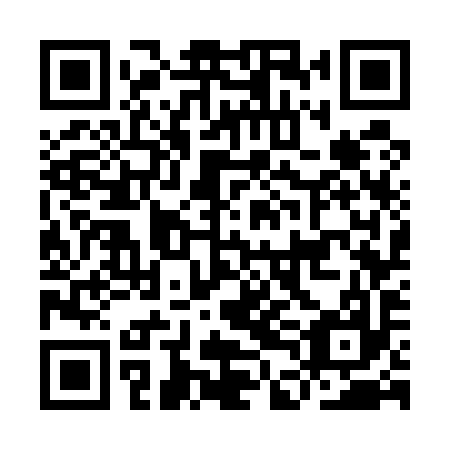 QR code for IDG 597