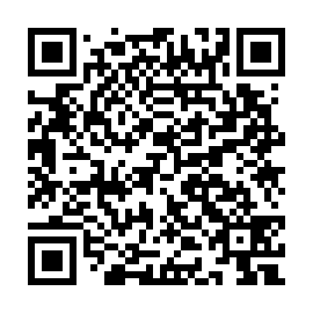 QR code for IDK739