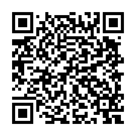 QR code for IDM 496
