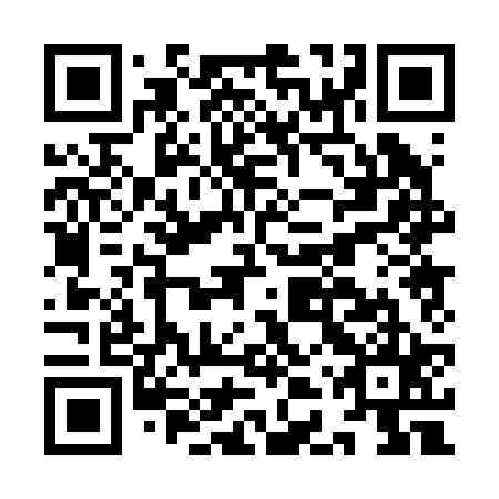 QR code for IDP 225