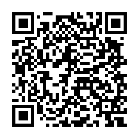 QR code for plate IDR 490