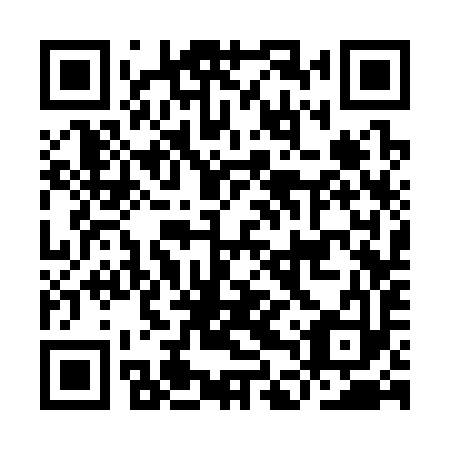 QR code for IDS 393