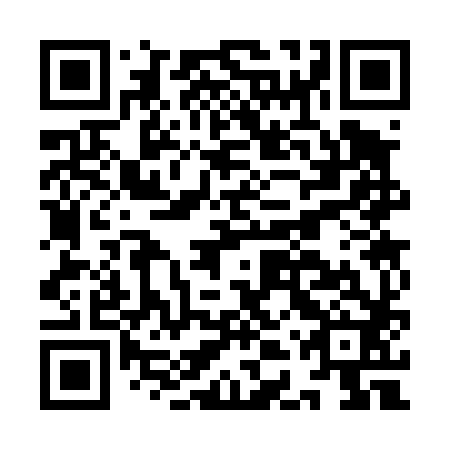 QR code for IDS 482