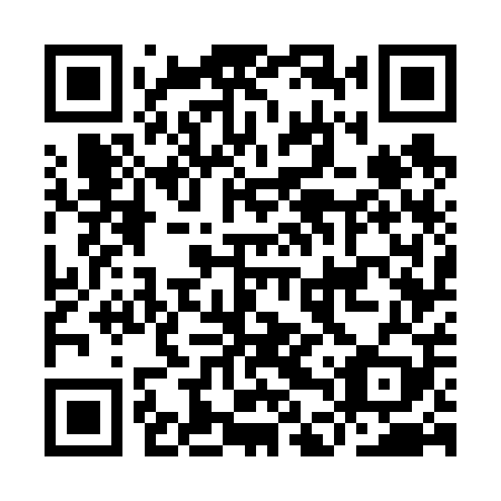 QR code for plate IDW 609