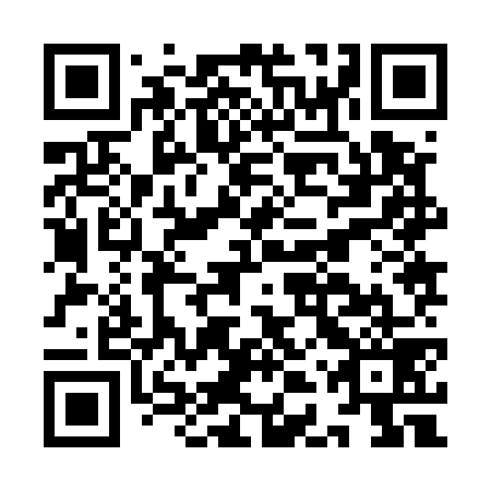 QR code for IDZ 579