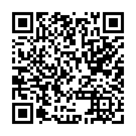 QR code for IEA 993