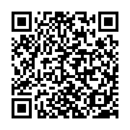 QR code for plate IEB 311