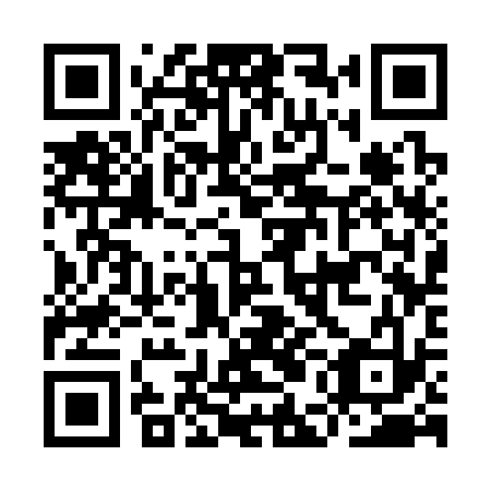 QR code for IEC 333