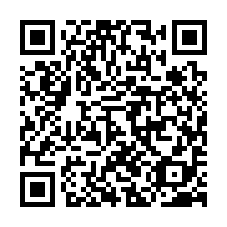 QR code for IEE 398