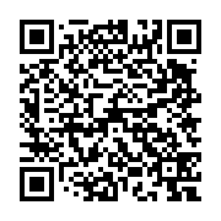 QR code for plate IEE 439