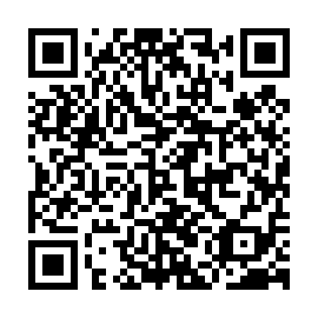 QR code for plate IEI 419