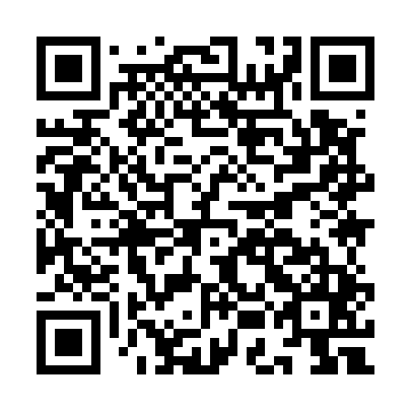 QR code for IEI545