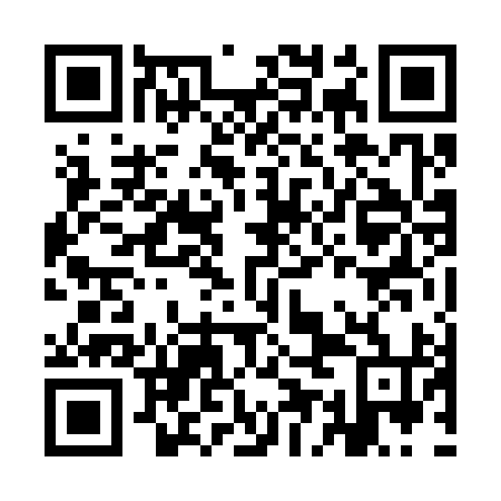 QR code for IEN394