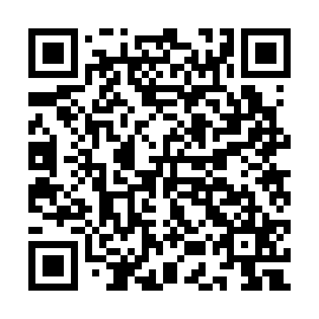 QR code for IER 325