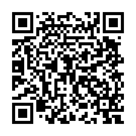QR code for IES 495