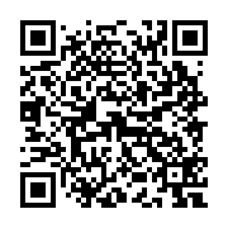 QR code for IEX 319