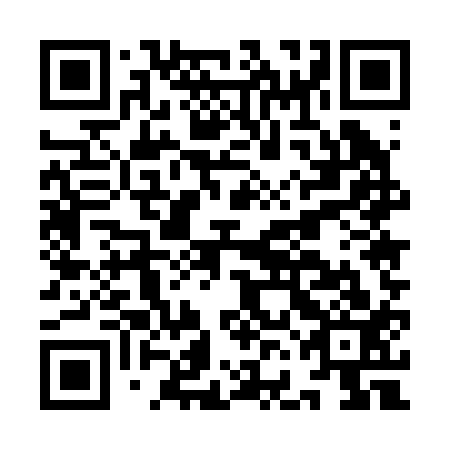 QR code for plate IFE 213