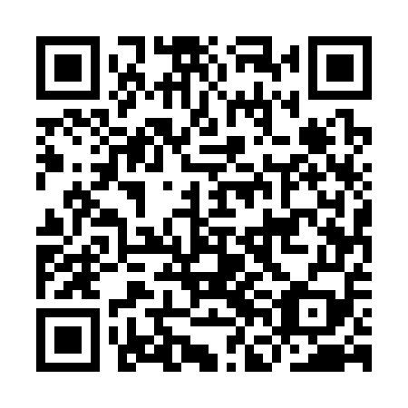QR code for plate IFE 359