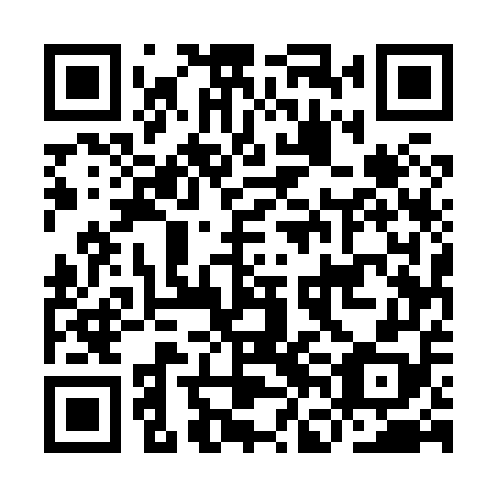 QR code for plate IFE 858