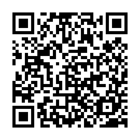 QR code for IFG 445