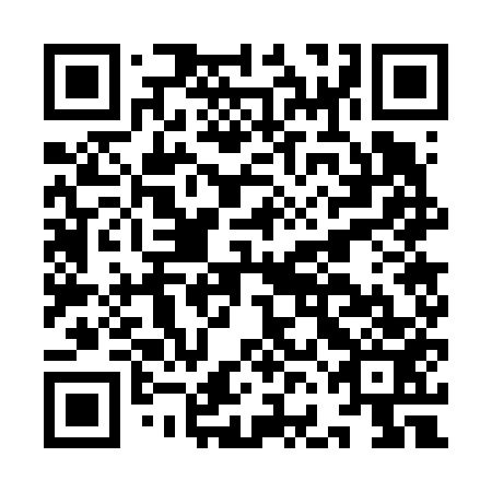 QR code for IFG 653