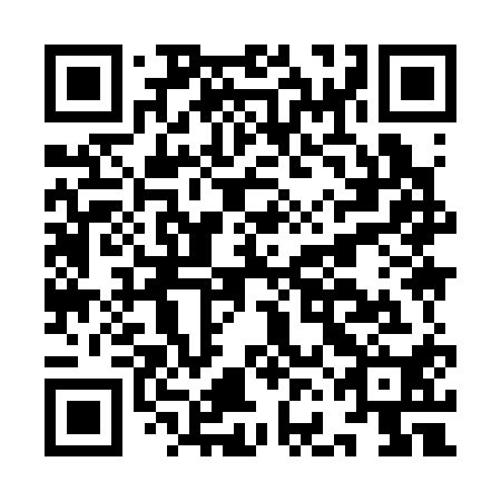 QR code for IFI 310