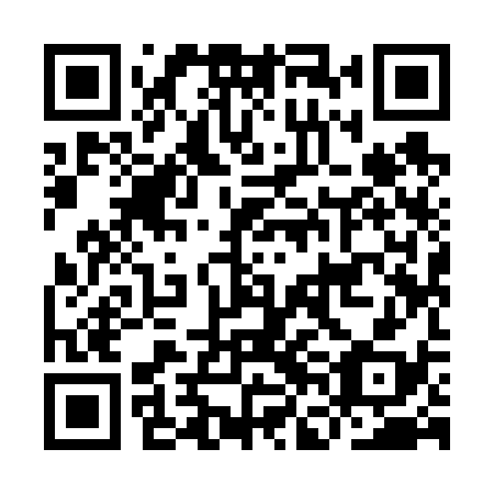 QR code for IFI 638