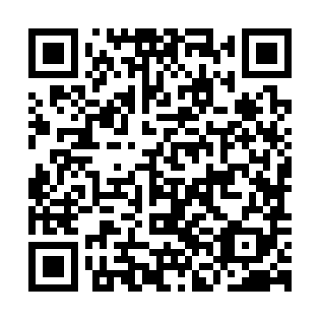 QR code for plate IFJ 389