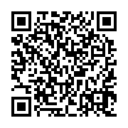QR code for IFK 317