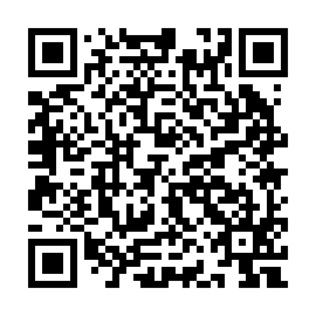 QR code for IFQ 295
