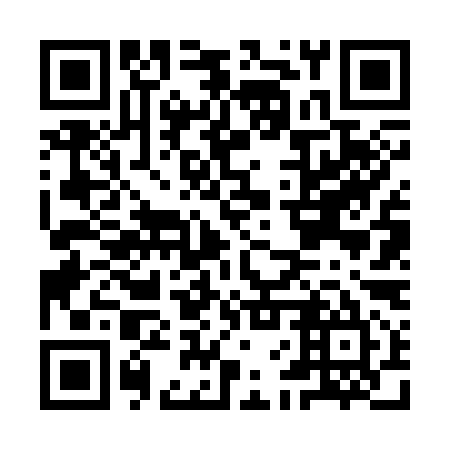 QR code for plate IFV 395
