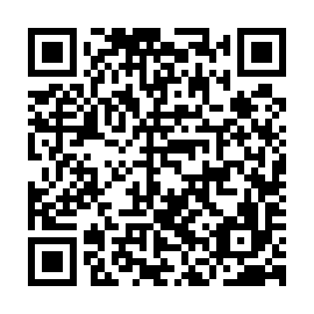 QR code for plate IFV 596