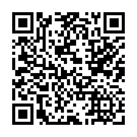 QR code for IFZ 976