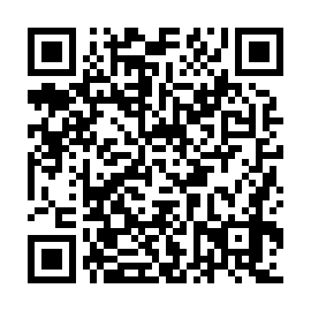 QR code for plate IFZ 878
