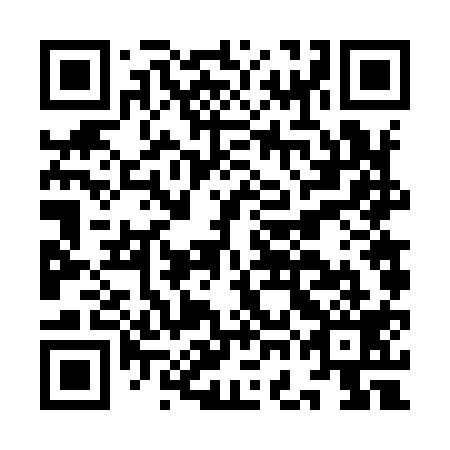 QR code for IGF 919
