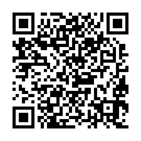 QR code for IGG 293