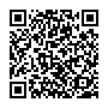 QR code for IGN 729