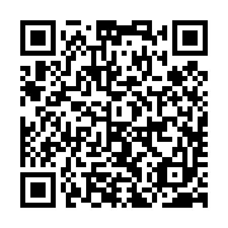 QR code for IGR 493