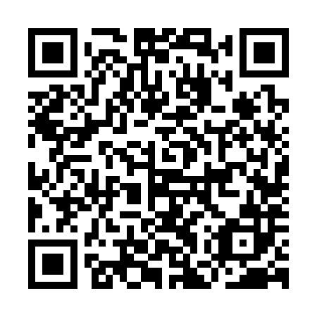 QR code for IGV 382