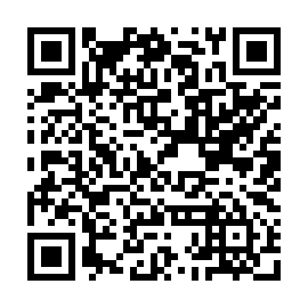 QR code for IHI 295