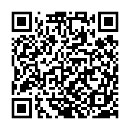 QR code for IIA 673