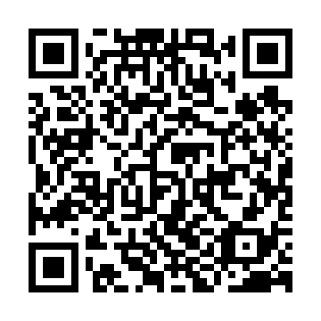 QR code for plate IIA 638
