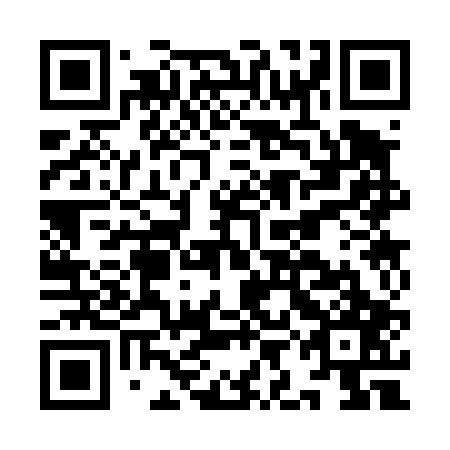 QR code for IIC 407