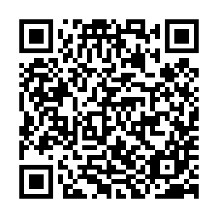 QR code for IIC 487