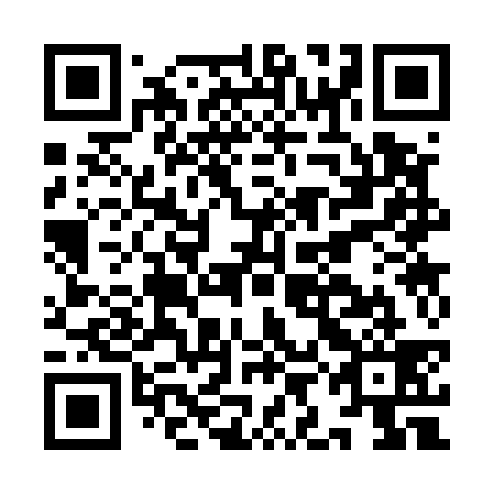 QR code for IIC 539