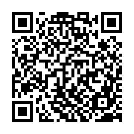 QR code for IIC166