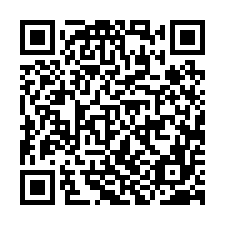 QR code for plate IID 256